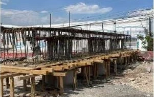 Distribuidor Vial Paseo 5 de Febrero · registro 8