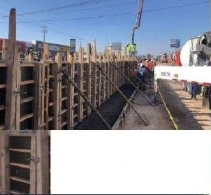 Distribuidor Vial Paseo 5 de Febrero · registro 17